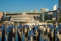 Etihad Stadium in Melbourne Docklands Royalty Free Stock Photo