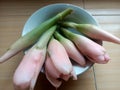 Etlingera elatior also known as torch ginger, torchflower, torch lily, wild ginger, flower closeup in a bowl Royalty Free Stock Photo