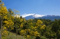 Etna