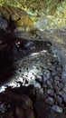 Etna - The interior of a lava tube or lava cave of volcano mount Etna on Sicily, Italy, Europe. Royalty Free Stock Photo