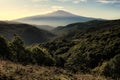 Etna Mount From Forest Of Nebrodi Park, Sicily