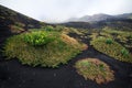 Etna Volcano, Sicily