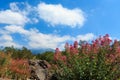 Etna volcano view, Sicily, Italy Royalty Free Stock Photo