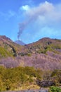 Etna volcanoes Royalty Free Stock Photo