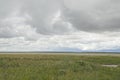 Etosha dramatic green plain with low clouds Royalty Free Stock Photo
