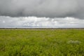 Etosha green landscape, flat horizon with storm clouds