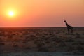 Etosha National Park