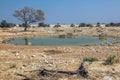 Etosha NP pool