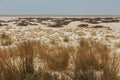 Etosha Pan, Etosha National Park. Namibia