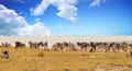 Etosha Pan teeming with African animals Royalty Free Stock Photo