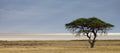 Etosha salt pan Royalty Free Stock Photo