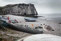 Etretat cliff and seagull in Normandy, France