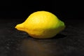 Etrog or citron on black background. Festival of Sukkot. Symbol of Torah-commanded holiday. Closeup