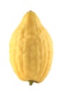 Etrog, isolated