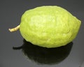 Etrog ritual fruit Royalty Free Stock Photo