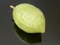 Etrog ritual fruit Royalty Free Stock Photo