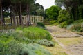 The Etruscan city of Populonia known for necropoleis, old ruins, castle and sea Royalty Free Stock Photo