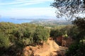 An etruscan necropolis in the woods near Populonia, Italy Royalty Free Stock Photo