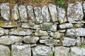 Etruscan Wall with Moss and Succulents