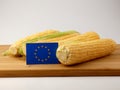 EU flag on a wooden panel with corn isolated on a white backgrou Royalty Free Stock Photo