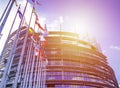 EU Parliament building with flags in sun light.