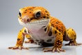 Eublepharis Macularius Leopard Gecko extreme closeup. Generative AI