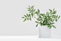 eucaliptus branches in a concrete flowerpot. copy space. minimal style home decor. greenplants for home jungle.