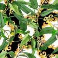 Eucaliptus floral botanical flowers. Watercolor background illustration set. Seamless background pattern.