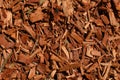 Eucalyptus bark mulch background Royalty Free Stock Photo