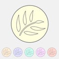 Eucalyptus beauty osmetics oil icon flat web sign symbol logo label