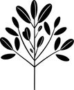 Eucalyptus - black and white isolated icon - vector illustration Royalty Free Stock Photo