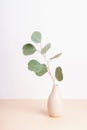 Eucalyptus branch in ceramic vase on beige table. Closeup Royalty Free Stock Photo