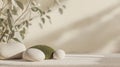 Eucalyptus branches, moss, and white stones are arranged on a textured surface, creating a serene minimalist scene with Royalty Free Stock Photo