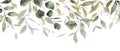 Eucalyptus branches, seeds and leaves. Hand drawn eucalyptus bouquet isolated on white background. Floral illustration Royalty Free Stock Photo