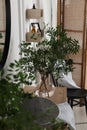 Eucalyptus branches and towel near stylish vessel sink on bathroom vanity. Interior design Royalty Free Stock Photo