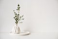 Eucalyptus branches in white ceramic vase on empty wall background