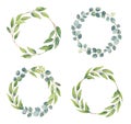 Eucalyptus branches wreaths with watercolor style. Wedding greenery in circle decorative design elements