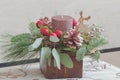 Eucalyptus Christmas festive decoration in wooden container Royalty Free Stock Photo