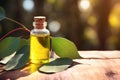 Eucalyptus Essential Oil