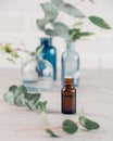 Eucalyptus essential oil and fresh leaves on the stone board. Royalty Free Stock Photo
