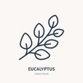 Eucalyptus flat line icon. Medicinal plant gum-tree vector illustration. Thin sign for herbal medicine, essential oil