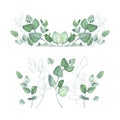 Eucalyptus frame. Branches of greenery. Rustic style. Watercolor illustration for design greeting cards