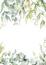 Eucalyptus Branches Watercolor, Floral Frame, Greenery Frame, Floral Arrangement, Green Leaves Composition