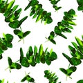 Eucalyptus Greenery Leaves Seamless Pattern. Royalty Free Stock Photo