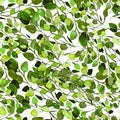 Eucalyptus Greenery Leaves Seamless Pattern. Royalty Free Stock Photo