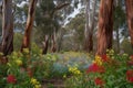eucalyptus grove with rainbow of flowers in full bloom