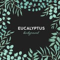 Eucalyptus gunnii hand drawn background design. Herb branches frame with place for text. Evergreen tree leaves, natural