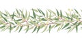Eucalyptus horizontal seamless border vector Royalty Free Stock Photo