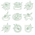 Eucalyptus label and icons set. Collection icon eucalyptus. Vector