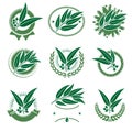 Eucalyptus label and icons set. Collection icon eucalyptus. Vector